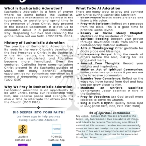 11 My Catholic Faith Issue