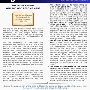 17 My Catholic Faith Issue