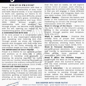 5 My Catholic Faith Issue