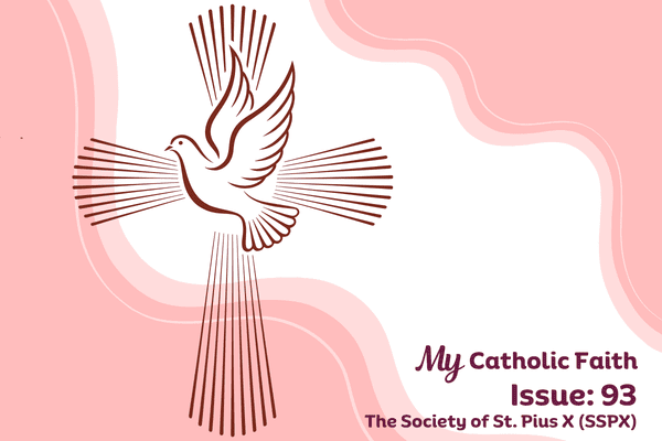 #93 | The Society of St. Pius X (SSPX)